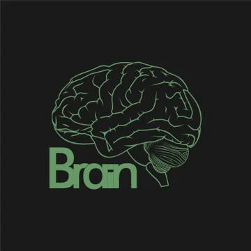 Vector Illustration of Brain with outline brain concept design Stock Illustration