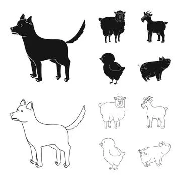 Vector illustration of breeding and kitchen symbol. Set of breeding and organic Stock Illustration