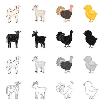 Vector illustration of breeding and kitchen symbol. Collection of breeding and Stock Illustration