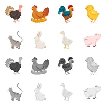 Vector illustration of breeding and kitchen symbol. Collection of breeding and Stock Illustration