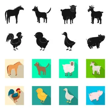 Vector illustration of breeding and kitchen symbol. Collection of breeding and Stock Illustration
