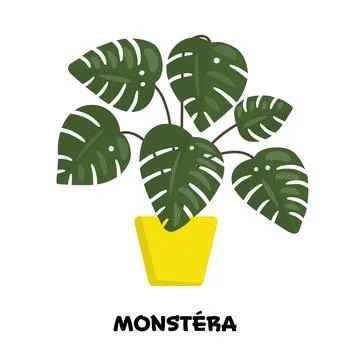 Vector illustration of bright object, home flower manstera in yellow pot, f.. Stock Illustration