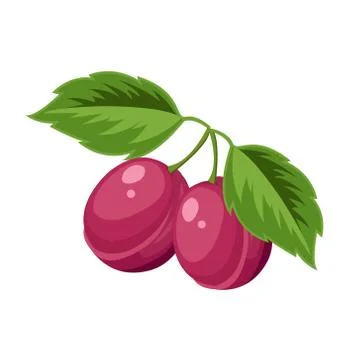 Vector illustration of bright, ripe plums. Cartoon icon. Stock Illustration