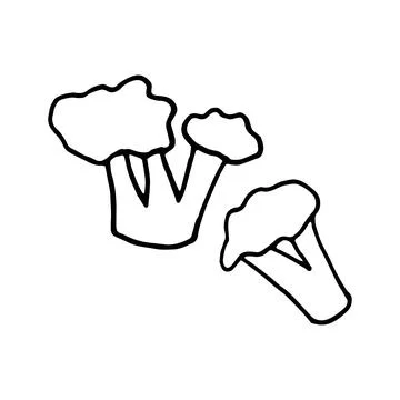 Vector illustration of broccoli and cauliflower in doodle style Stock Illustration