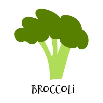 Vector illustration of broccoli in hand drawn flat style. Stock Illustration