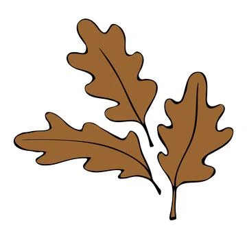 Vector illustration of brown oak leafs. Simple flat clip arts, design element Illustrazione stock