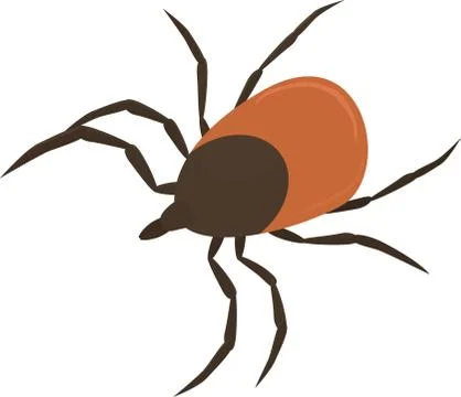 Vector illustration of brown tick Illustrazione stock