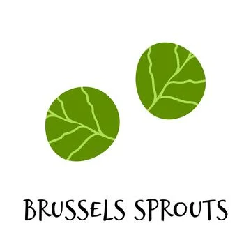 Vector illustration of brussels sprouts in hand drawn flat style. Stock Illustration