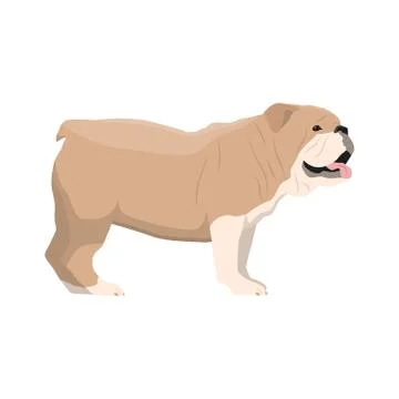 Vector illustration of Bulldog Illustrazione stock