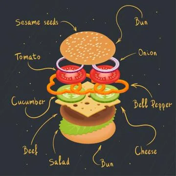 Vector illustration of burger infographics. Stock Illustration