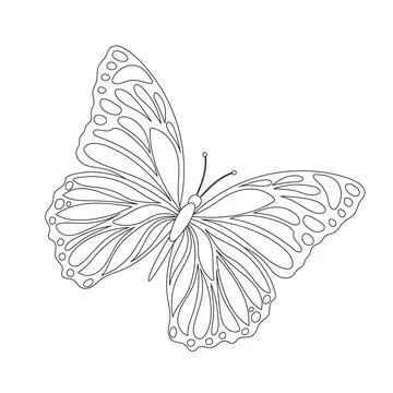 Vector illustration of a butterfly with beautiful open wings for children's.. Stock Illustration