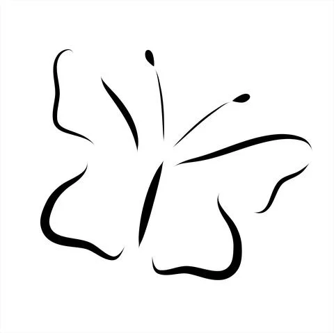Vector illustration of butterfly painted with simple lines. Symbol of insect  Stock Illustration