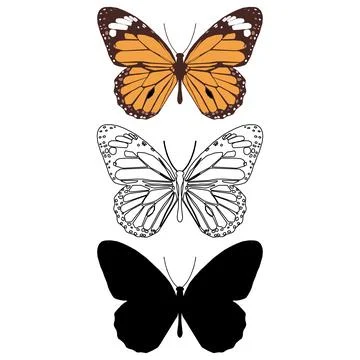 Vector illustration of Butterfly Pattern. Stock Illustration