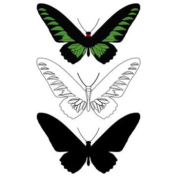 Vector illustration of Butterfly Pattern. Stock Illustration