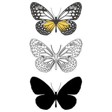Vector illustration of Butterfly Pattern. Stock Illustration
