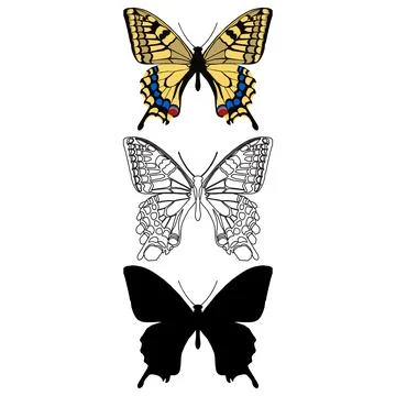 Vector illustration of Butterfly Pattern. Stock Illustration