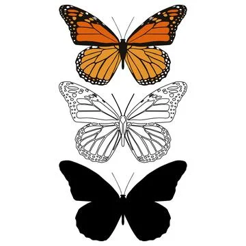 Vector illustration of Butterfly Pattern. Stock Illustration