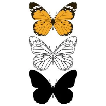 Vector illustration of Butterfly Pattern. Stock Illustration