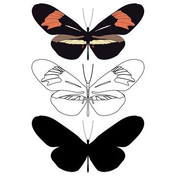 Vector illustration of Butterfly Pattern Stock Illustration