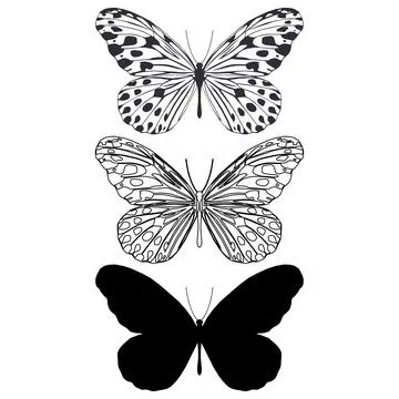 Vector illustration of Butterfly Pattern. Stock Illustration
