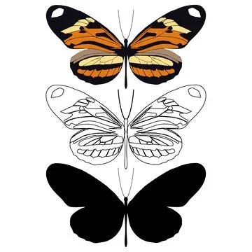 Vector illustration of Butterfly Pattern Stock Illustration