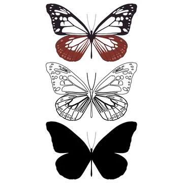 Vector illustration of Butterfly Pattern Stock Illustration