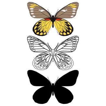 Vector illustration of Butterfly Pattern Stock Illustration