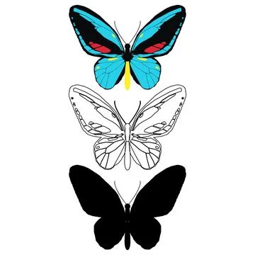 Vector illustration of Butterfly Pattern Stock Illustration