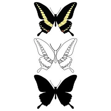 Vector illustration of Butterfly Pattern Stock Illustration