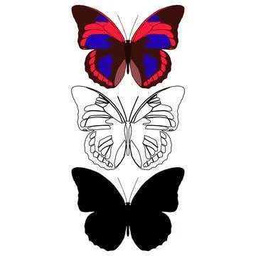Vector illustration of Butterfly Pattern Stock Illustration