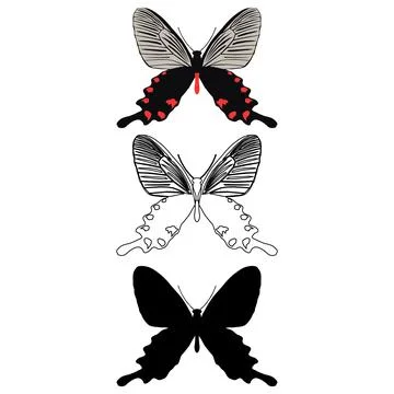 Vector illustration of Butterfly Pattern Stock Illustration