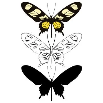Vector illustration of Butterfly Pattern Stock Illustration