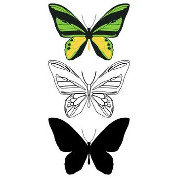 Vector illustration of Butterfly Pattern Stock Illustration