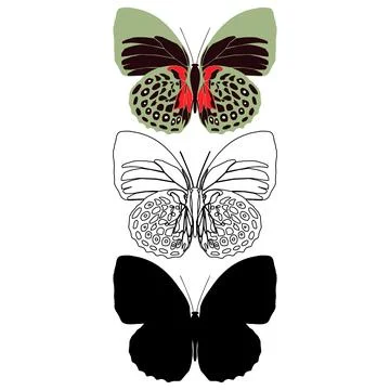 Vector illustration of Butterfly Pattern Illustrazione stock