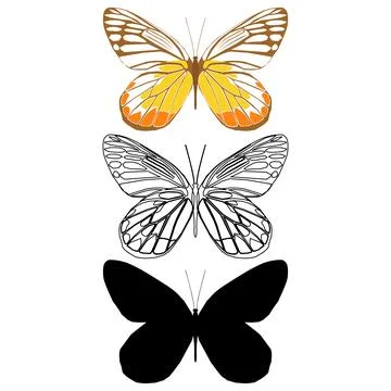 Vector illustration of Butterfly Pattern Stock Illustration