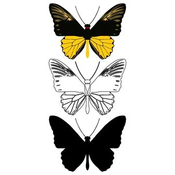 Vector illustration of Butterfly Pattern Stock Illustration