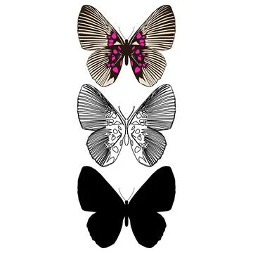 Vector illustration of Butterfly Pattern Stock Illustration