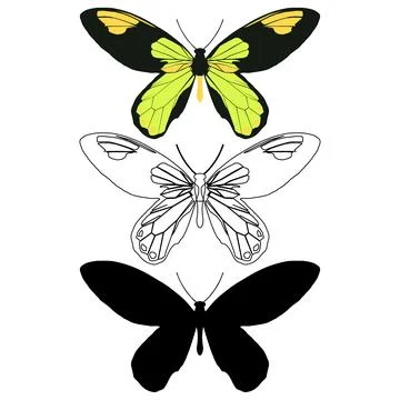 Vector illustration of Butterfly Pattern Stock Illustration