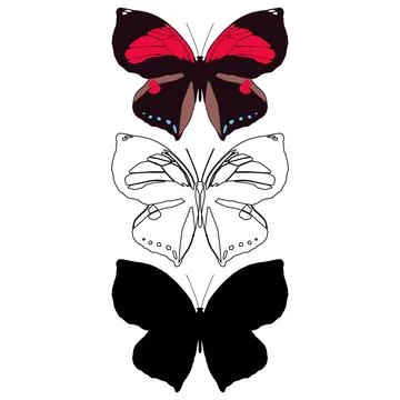 Vector illustration of Butterfly Pattern Stock Illustration
