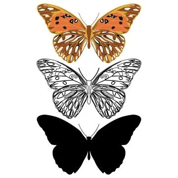 Vector illustration of Butterfly Pattern Stock Illustration