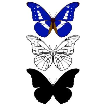 Vector illustration of Butterfly Pattern Stock Illustration