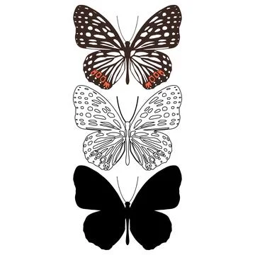 Vector illustration of Butterfly Pattern Stock Illustration