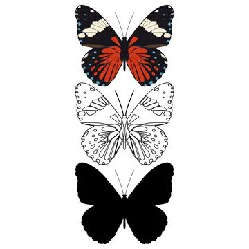 Vector illustration of Butterfly Pattern Stock Illustration