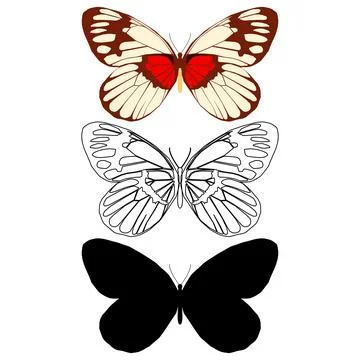 Vector illustration of Butterfly Pattern Stock Illustration