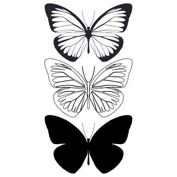 Vector illustration of Butterfly Pattern Stock Illustration