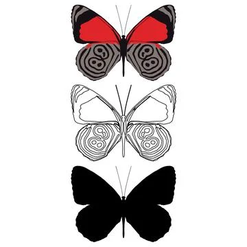 Vector illustration of Butterfly Pattern Stock Illustration