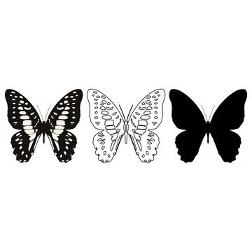 Vector illustration of Butterfly Pattern Stock Illustration