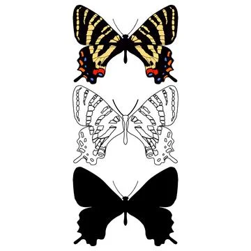 Vector illustration of Butterfly Pattern Stock Illustration