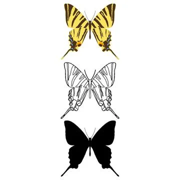 Vector illustration of Butterfly Pattern Stock Illustration