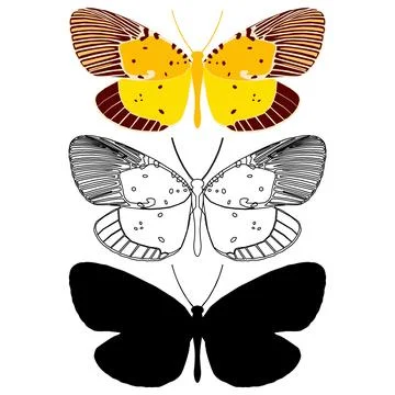 Vector illustration of Butterfly Pattern Stock Illustration